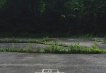 Wie wir Kinder wirklich KI-fit machen