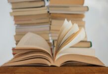 Als eine KI einen Horrorroman schrieb: Der „Shy Girl“-Skandal und seine Folgen fĂĽr die Kreativbranche