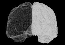 AI Brain Fry: When Working With AI Starts Overheating the Mind